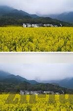 麻豆传媒免费在线-直面网海迷离，揭秘麻豆传媒免费在线的真相