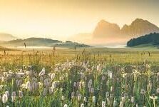 麻豆传媒资源是什么-麻豆传媒资源，理解、批判与考量