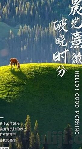 人妻精品中文-品味生活，人妻精品中文的独特魅力