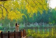 日韩无码高清av欧美-探索成人娱乐的多元化视角，日韩无码高清AV与欧美内容