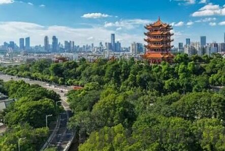糖心视频官网-聚焦网络视频新风尚 —— 探索糖心视频官网的多元魅力